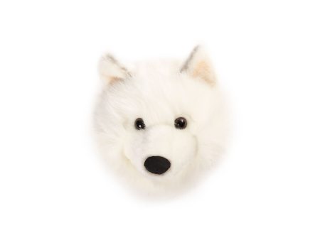 Lucy the White Wolf - Medium Head Online now