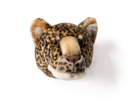 Charlie the Leopard - Medium Head Online now