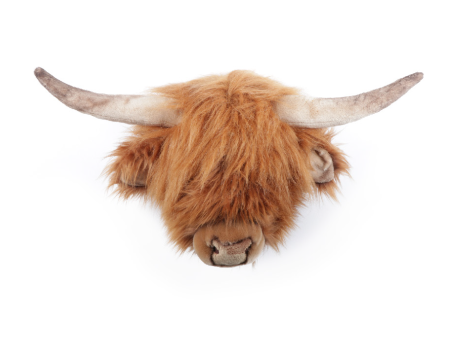 Nicolas the Highland cow Online now