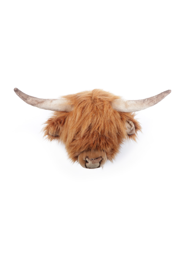 Nicolas the Highland cow Online now