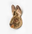 Lewis the hare Hot on Sale