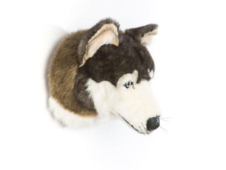 Martin the Wolf Sale