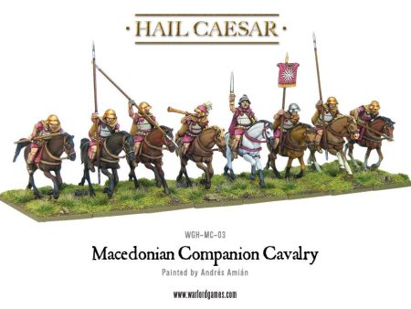 Macedonian Companion Cavalry boxed set Online now