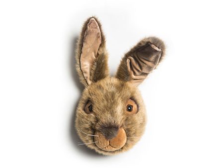 Lewis the hare Hot on Sale