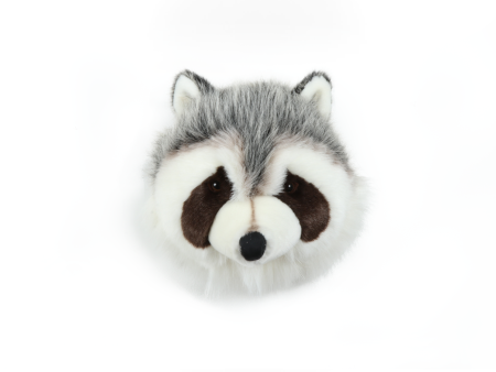 Josh the Raccoon - Medium Head For Sale