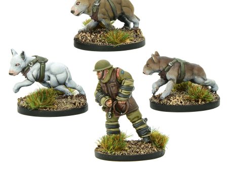 British War Dog Squad 1 Online