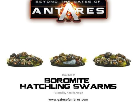 Boromite Hatchling Swarms For Sale