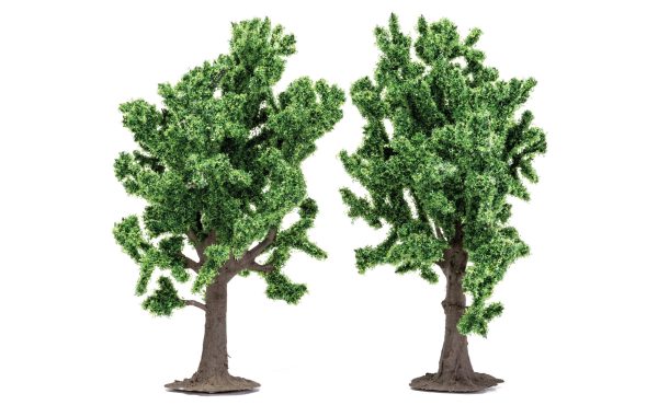 Beech Trees (13cm) - Set of 2 trees For Cheap