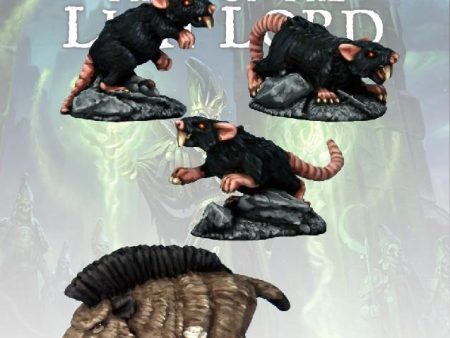 Boar & Giant Rats Supply