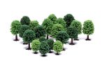 Deciduous Trees (5cm - 9cm) – 20 assorted trees on Sale