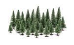 Fir Trees (5cm - 14cm) x 20 assorted trees Sale