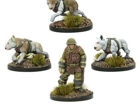 British War Dog Squad 2 Online Hot Sale