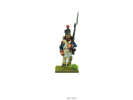 Napoleonic French Peninsular Veteran: Augustin  Biscard  Durand Online now