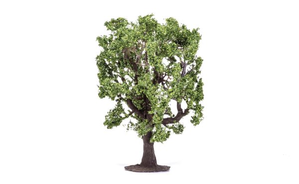 Oak Tree - 16cm For Cheap