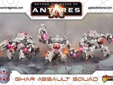 Ghar Assault Squad (plastic) For Sale