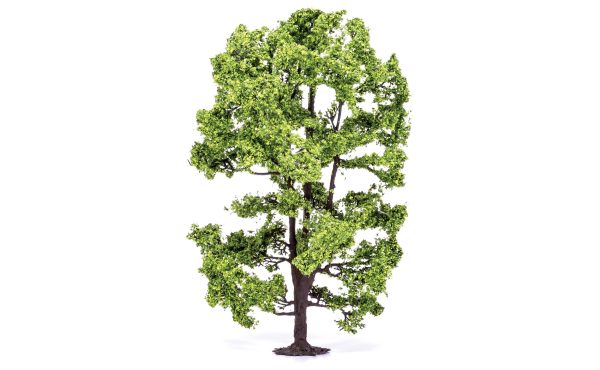 Acacia Tree - 15cm Hot on Sale