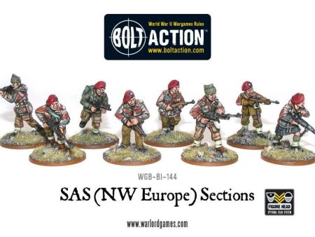 SAS (NWE) sections Online Hot Sale