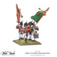 British Line Infantry (Peninsular War) Sale