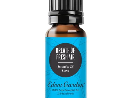 Breath of Fresh Air Essential Oil Blend- To Help You Unwind & Purify The Air Online Sale