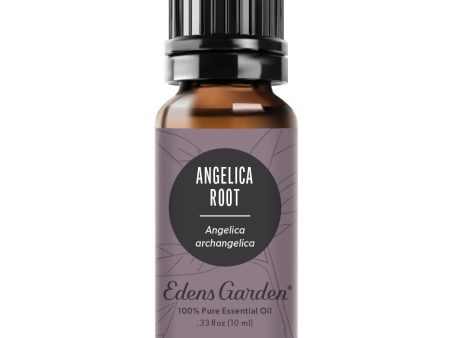 Angelica Root Essential Oil Cheap