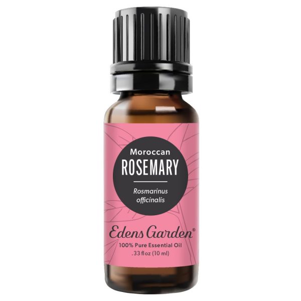 Rosemary- Moroccan Essential Oil Hot on Sale