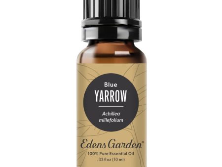 Yarrow- Blue Essential Oil Discount