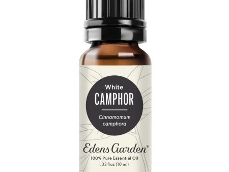 Camphor- White Essential Oil Hot on Sale