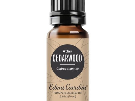 Cedarwood- Atlas Essential Oil on Sale