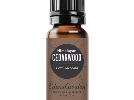 Cedarwood- Himalayan Essential Oil For Sale