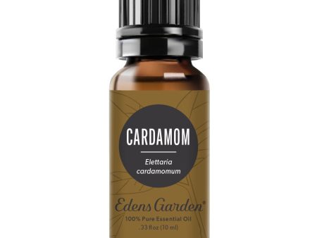 Cardamom Essential Oil Online now