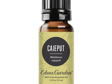 Cajeput Essential Oil For Cheap