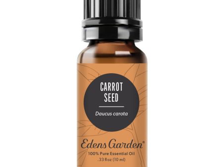 Carrot Seed Essential Oil on Sale