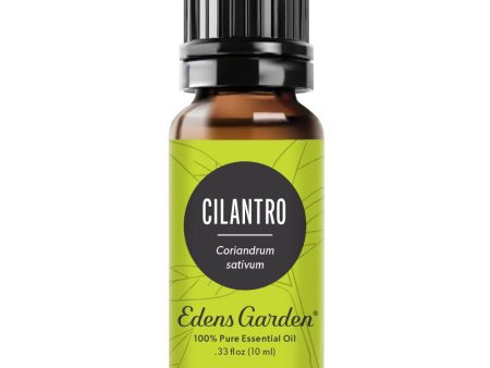 Cilantro Essential Oil Online Hot Sale