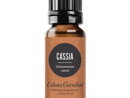 Cassia Essential Oil Online