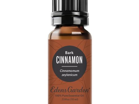 Cinnamon- Bark Essential Oil Supply