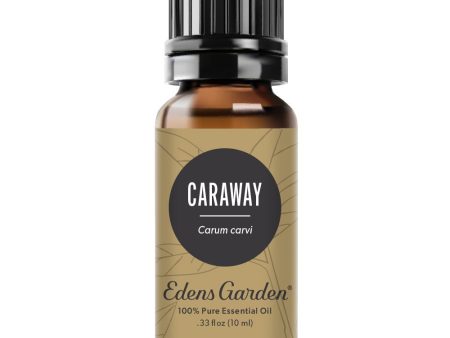 Caraway Essential Oil Online Hot Sale