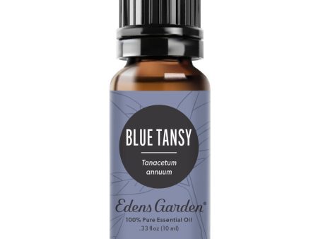 Blue Tansy Essential Oil Online