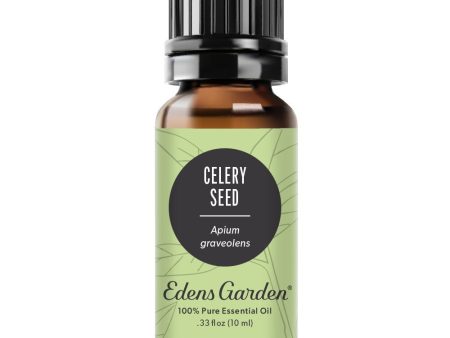 Celery Seed Essential Oil Hot on Sale